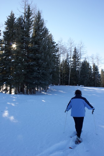 A person in winter clothing is snowshoeing through a snowy forest area, with tall evergreen trees lining the path. The sun is peeking through the branches, creating a gentle glow on the snow-covered ground.