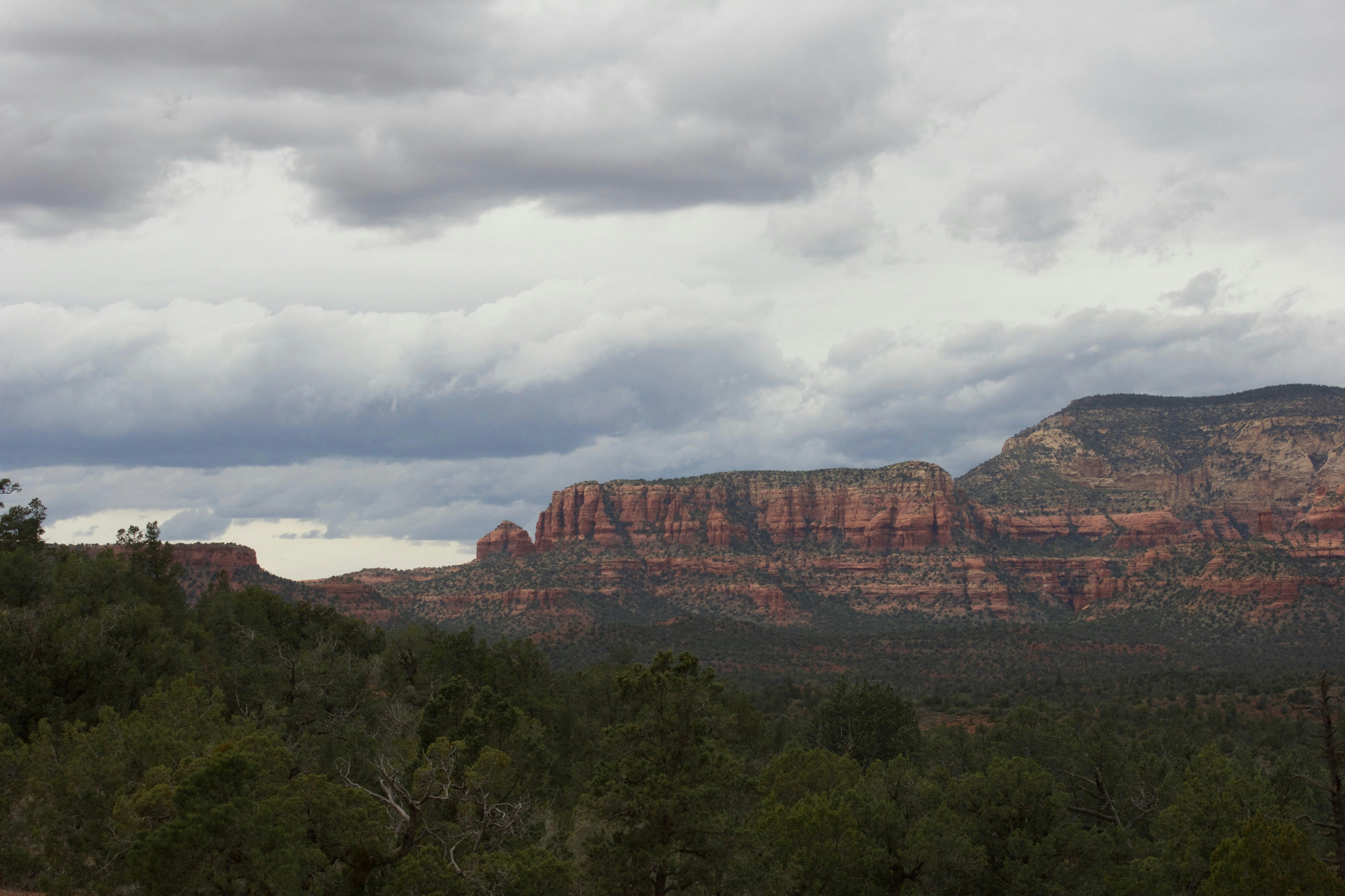 green trees and brown mountains under white clouds and blue sky during daytime, 