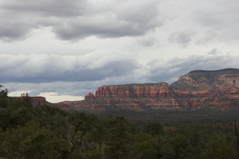 green trees and brown mountains under white clouds and blue sky during daytime