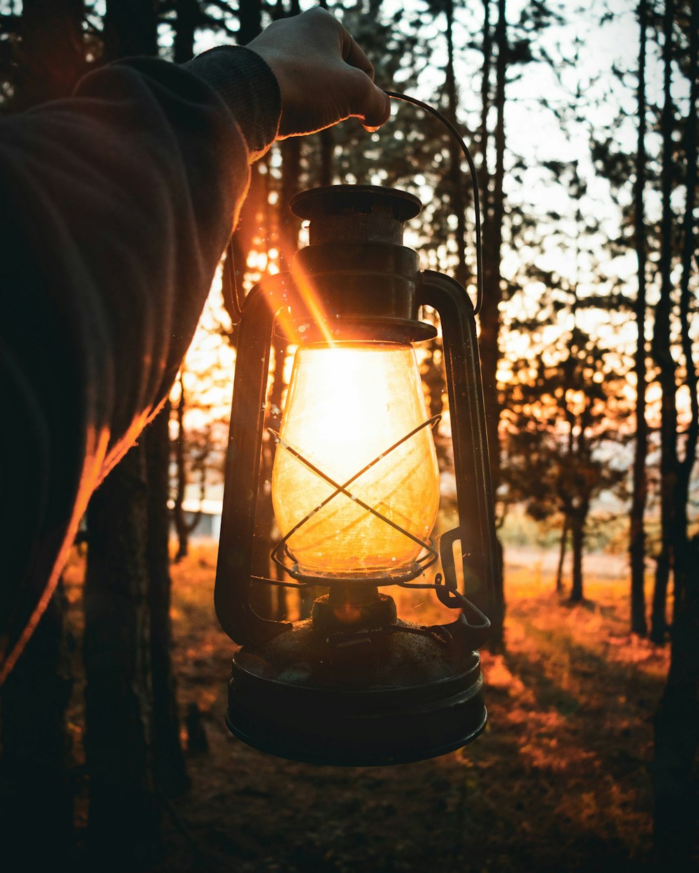 Persona che tiene la lampada della lanterna vicino agli alberi durante il giorno