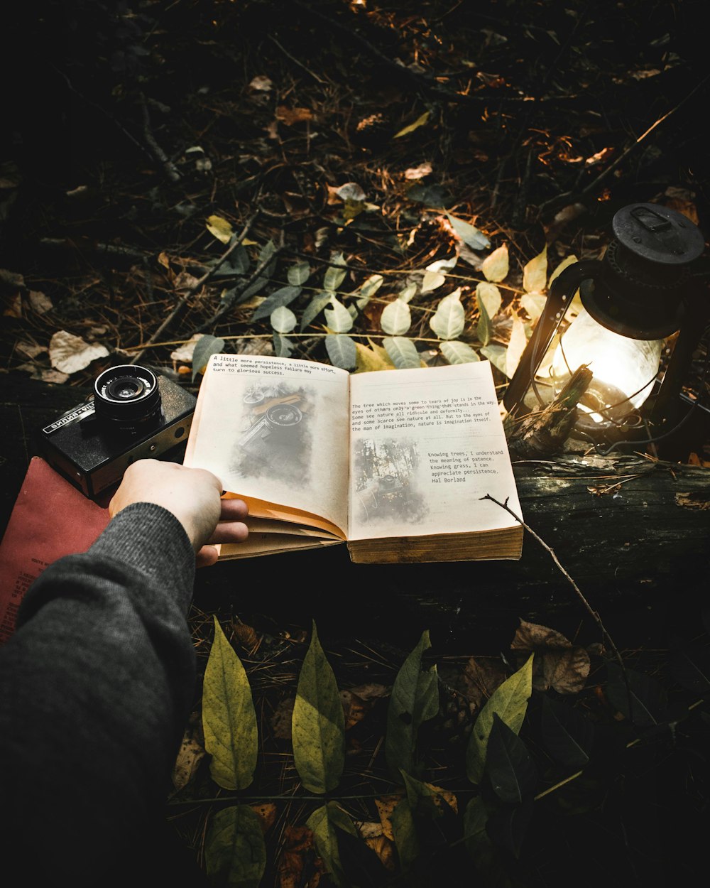 person in blue denim jeans holding book