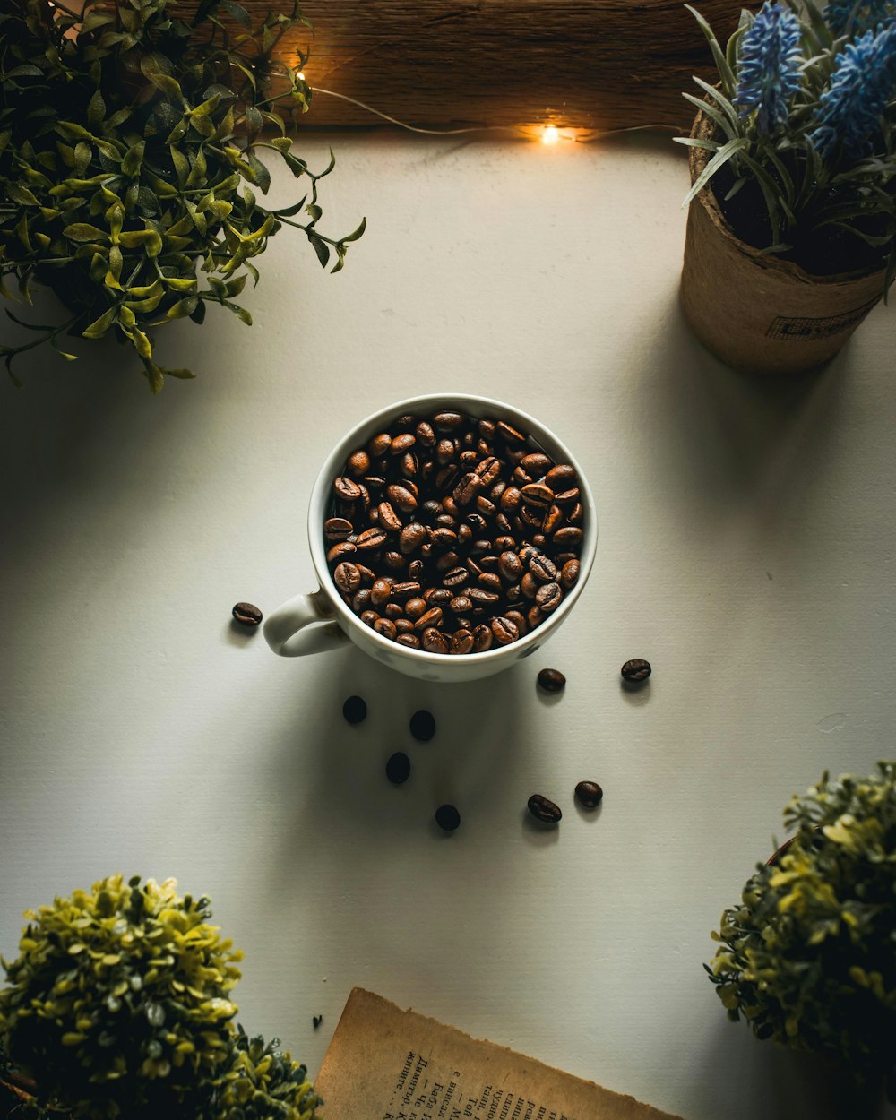 white ceramic mug with coffee beside green plant on white table