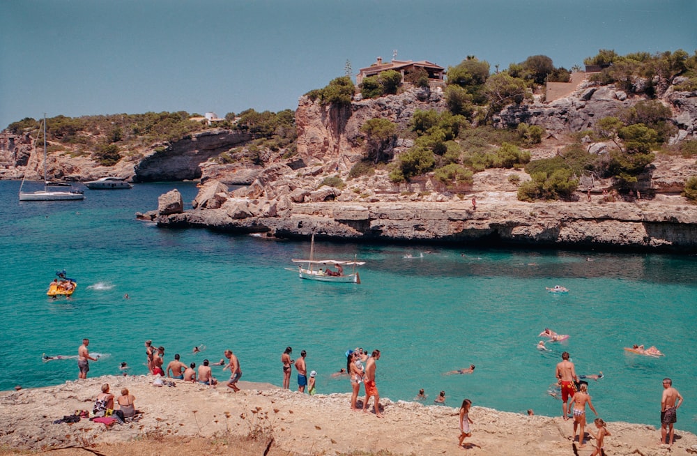 people on beach during daytime