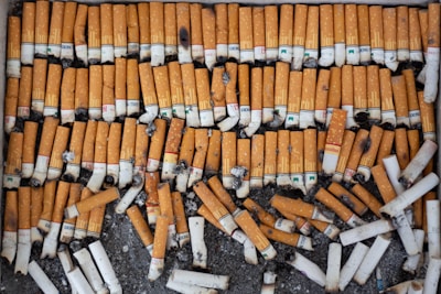 A large collection of cigarette butts arranged neatly in rows on a dark surface. The butts are mostly orange with white filter ends, showing various brands and some charred marks.