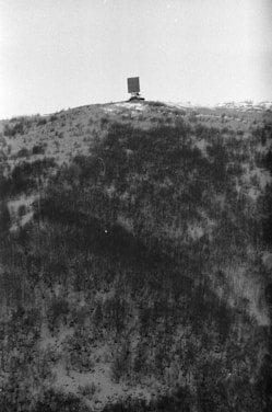 A monochromatic landscape displaying a vast hillside covered with barren trees. At the peak, a large rectangular structure or billboard stands, seemingly isolated against an overcast sky.