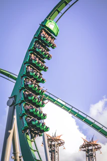 A young visitor riding a thrilling amusement park roller coaster with wind in their hair and excitement on their face.