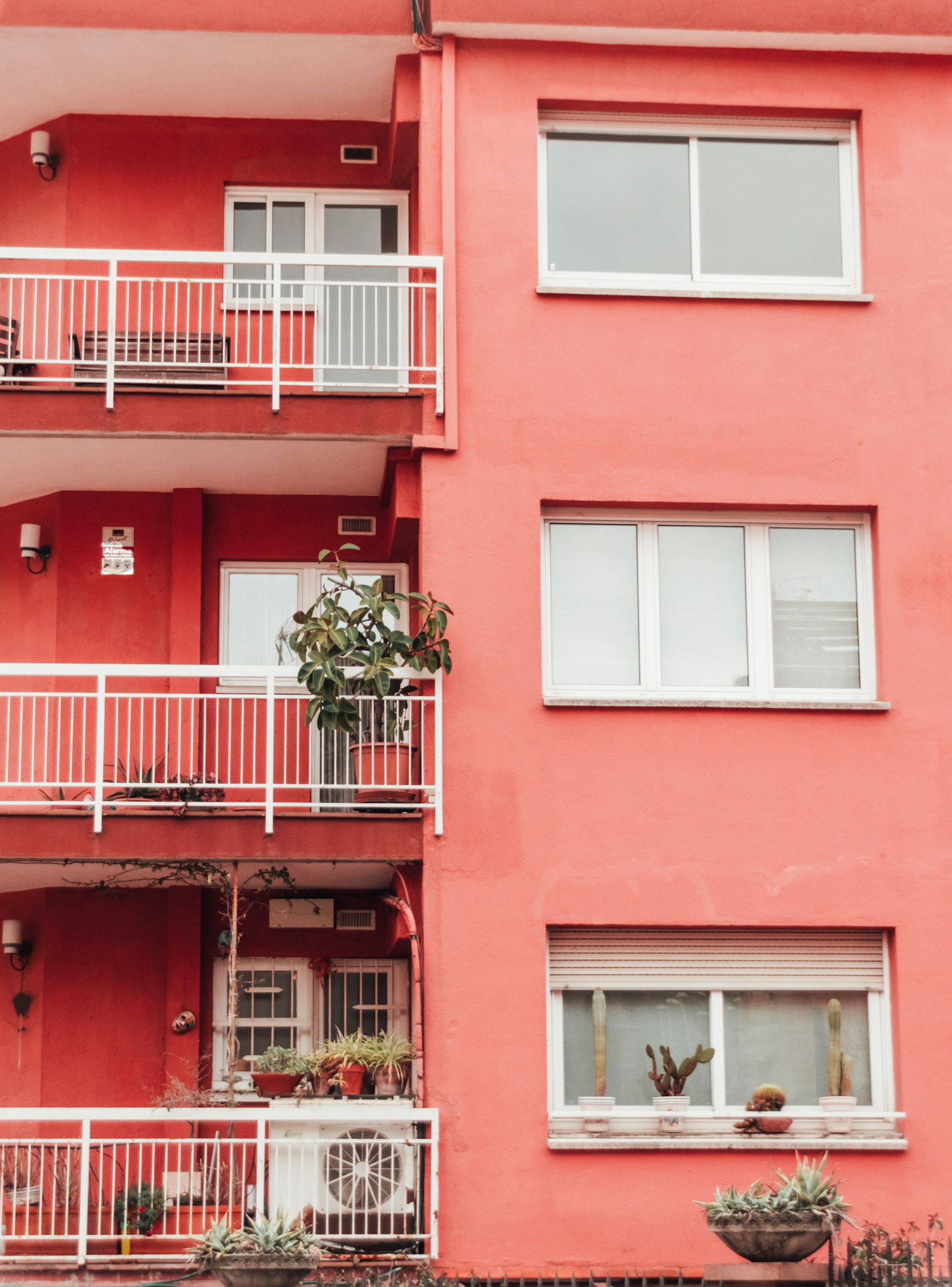 Nikon D3200 + Sigma 18-250mm F3.5-6.3 DC Macro OS HSM sample photo. Pink and white concrete photography