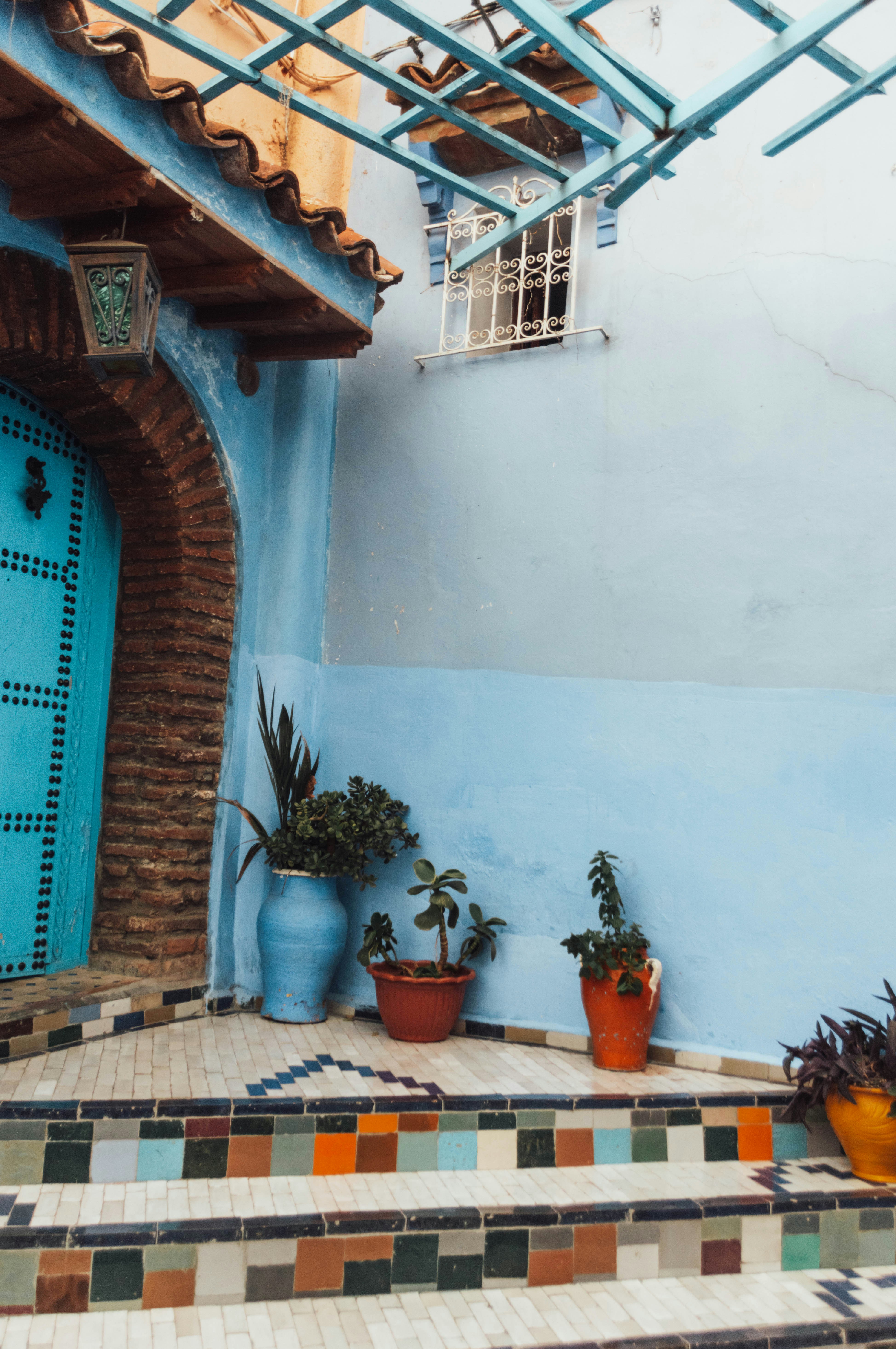 Photo by maddieleopardo