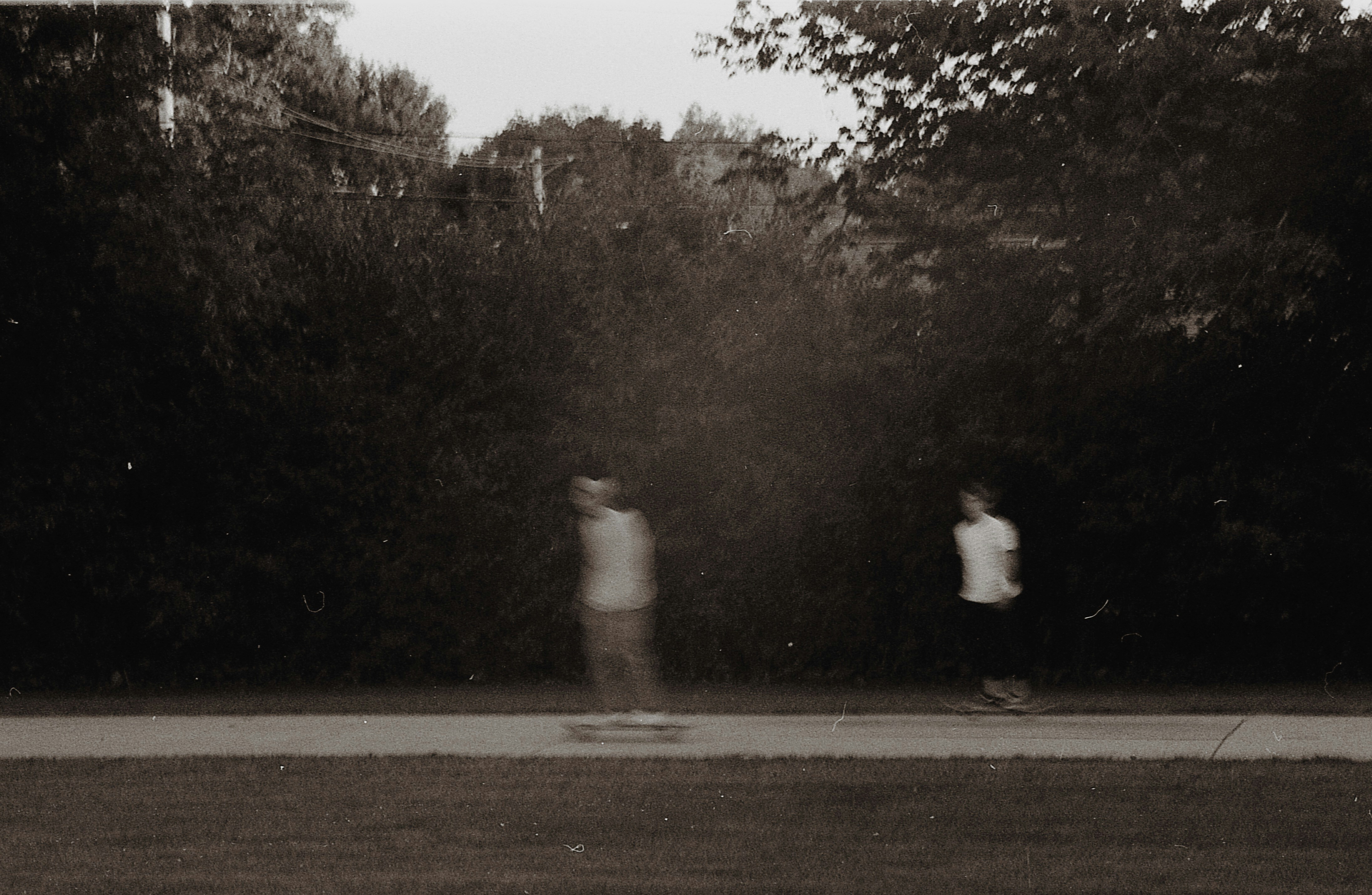 white and brown house near trees during daytime