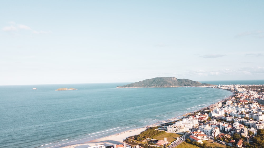 aerial view of city near sea during daytime