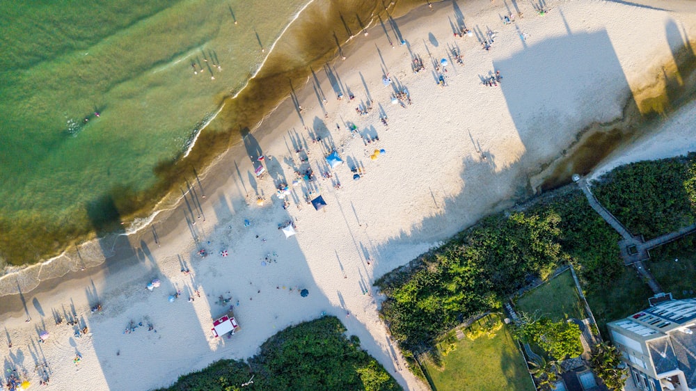 aerial view of people on beach during daytime