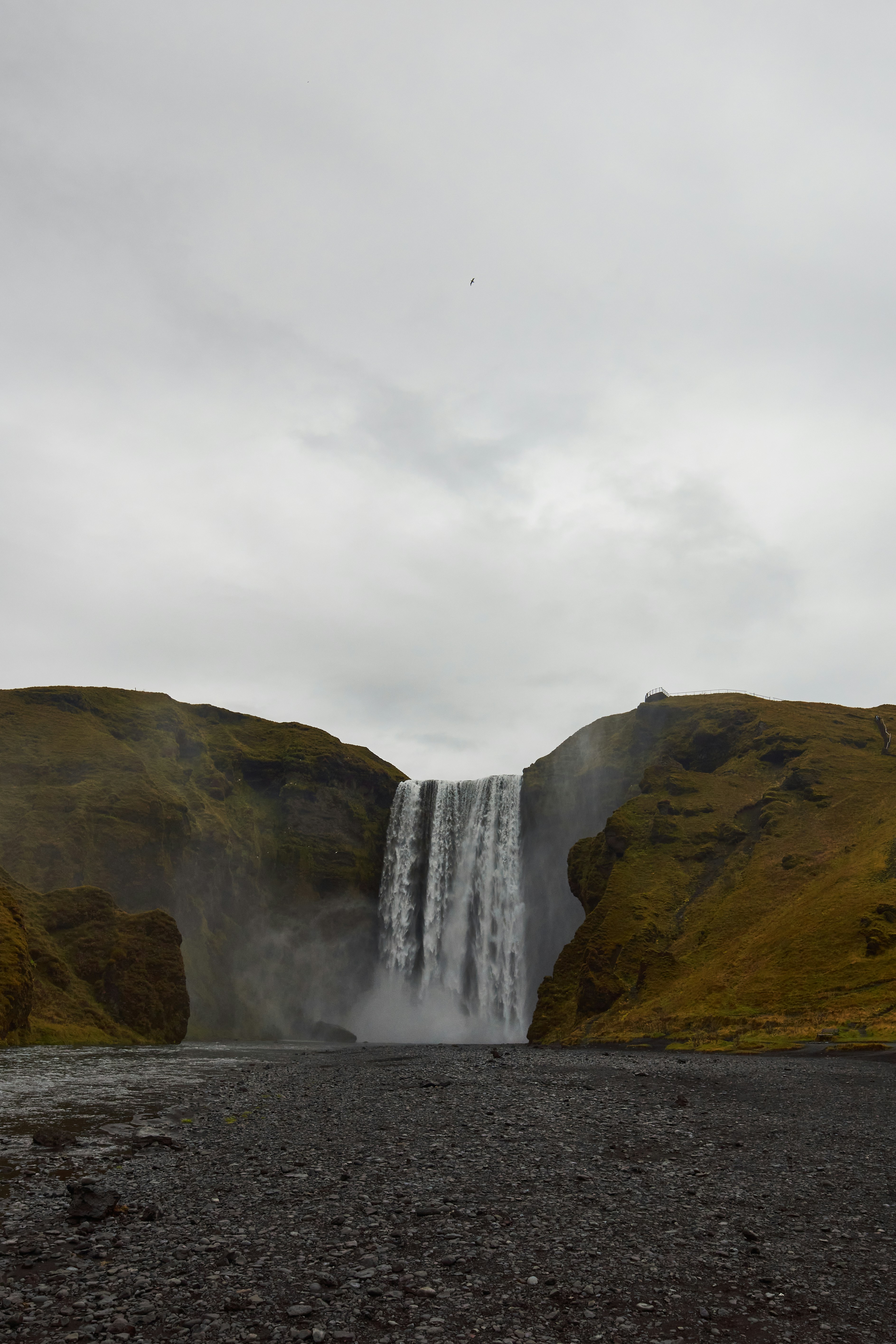 Photo by wolfgang_hasselmann