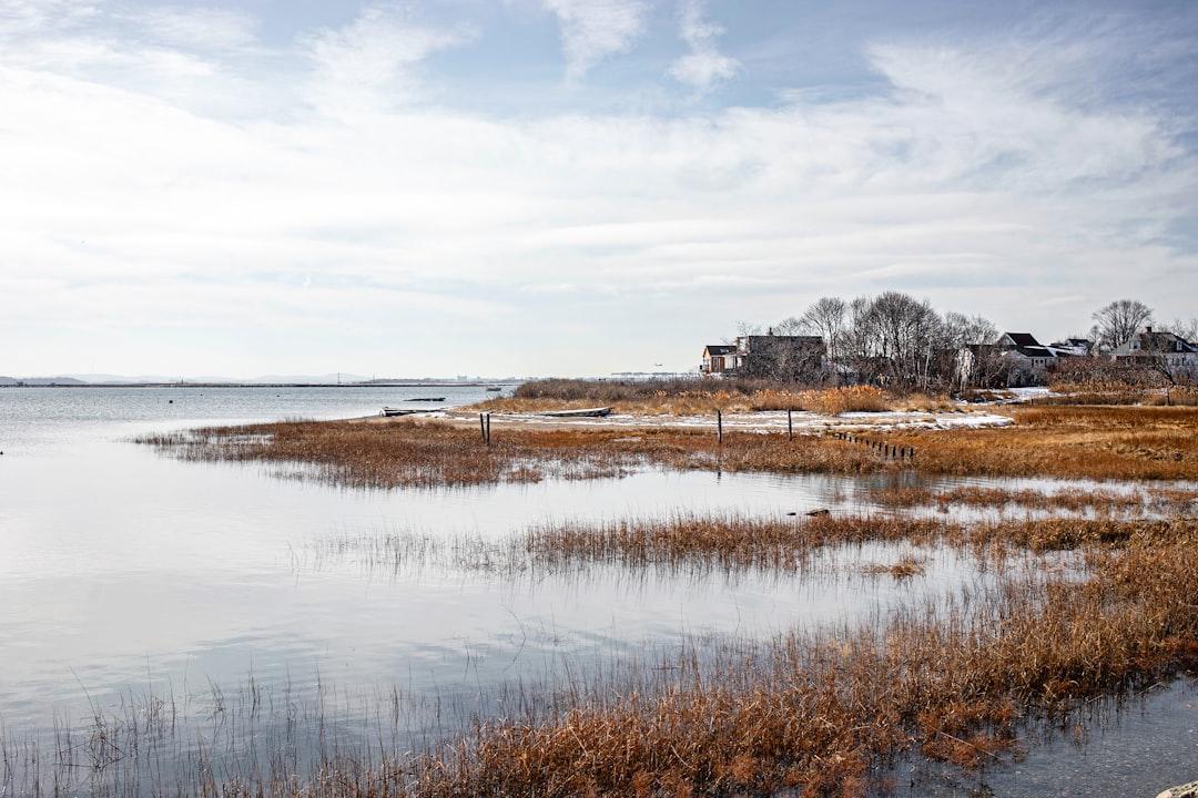 brown grass field near body of water under white clouds during daytime