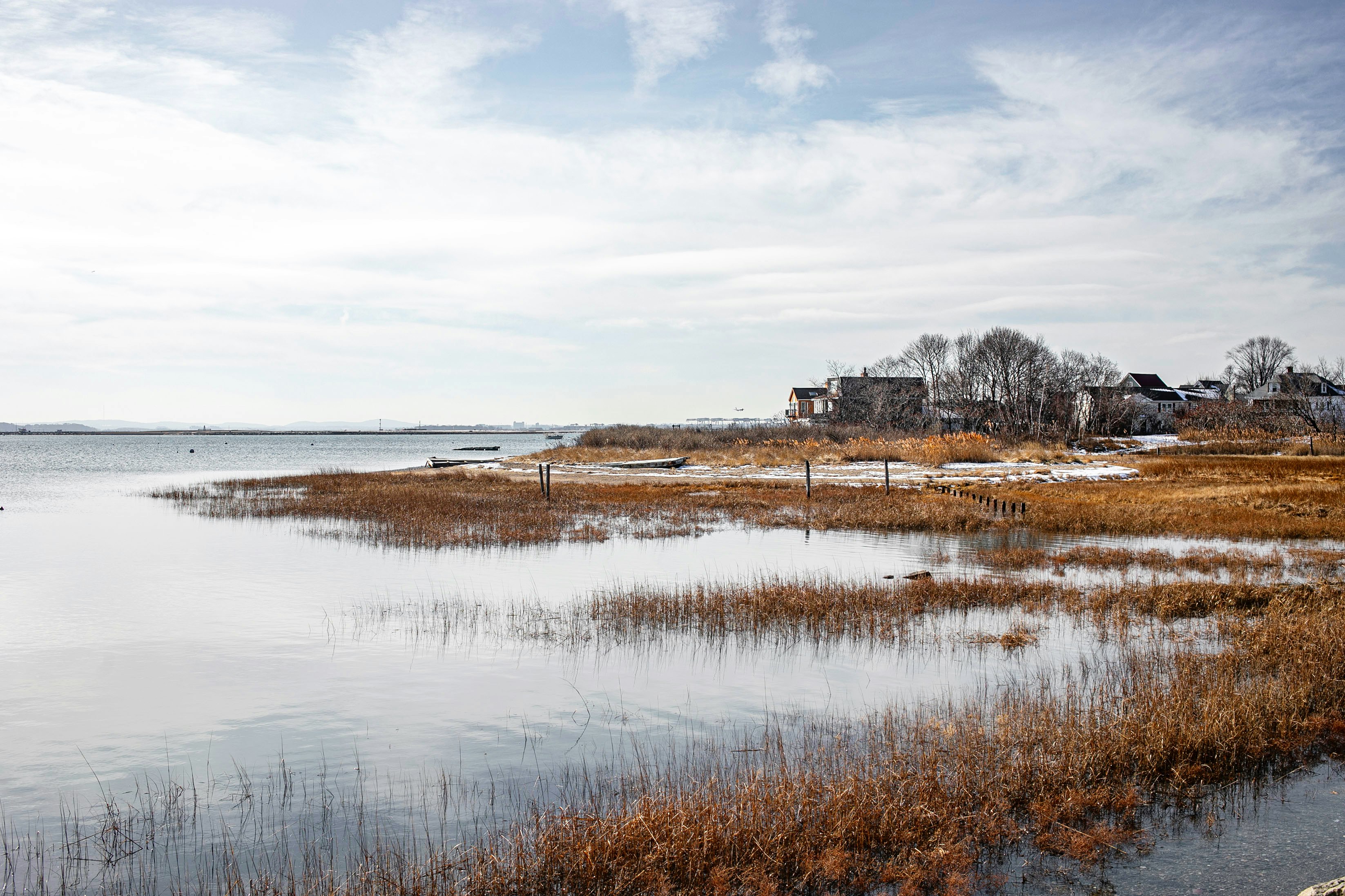 brown grass field near body of water under white clouds during daytime