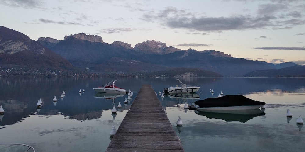 brown wooden dock on lake during daytime