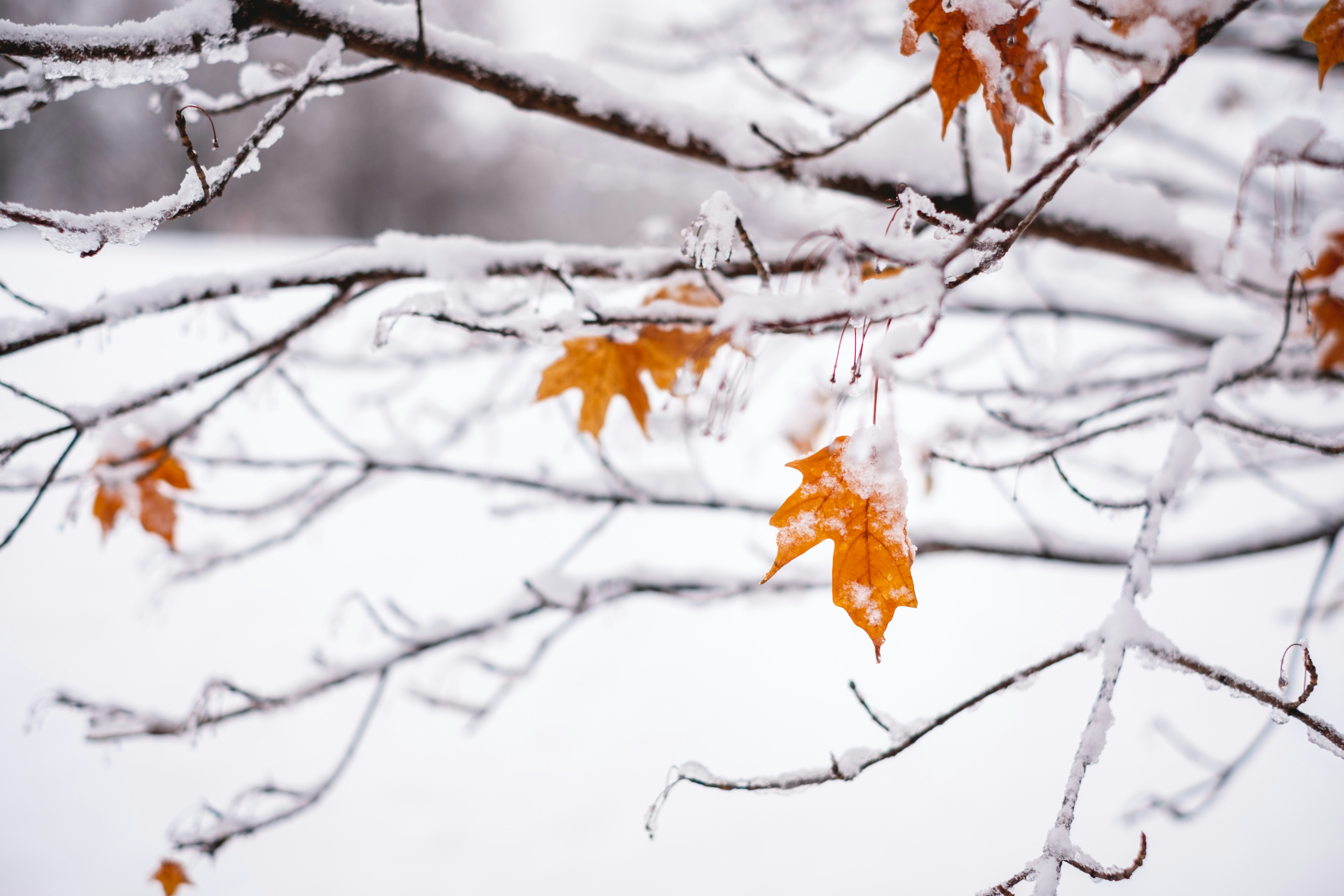 Photo by sonnertomeo