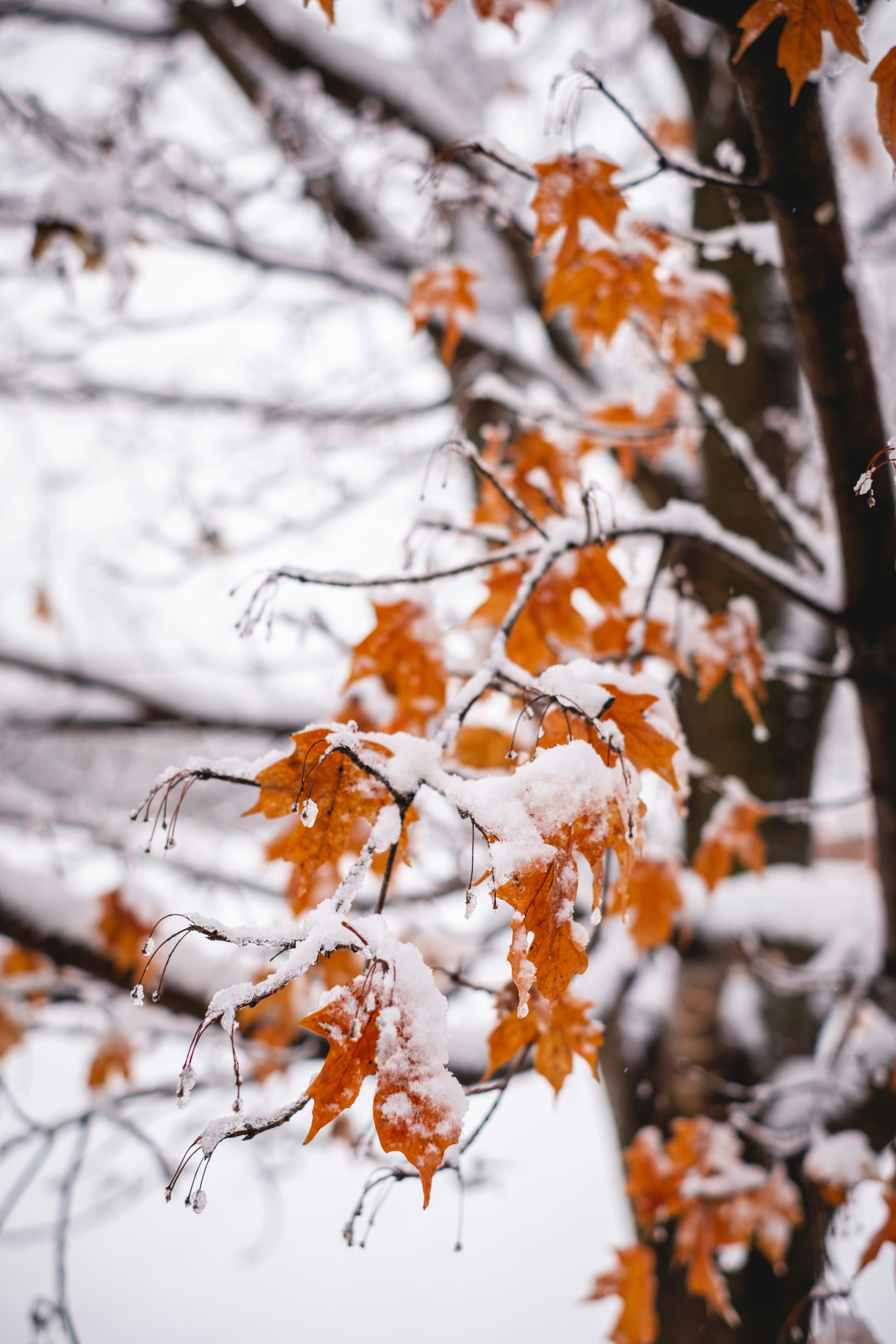 Photo by sonnertomeo