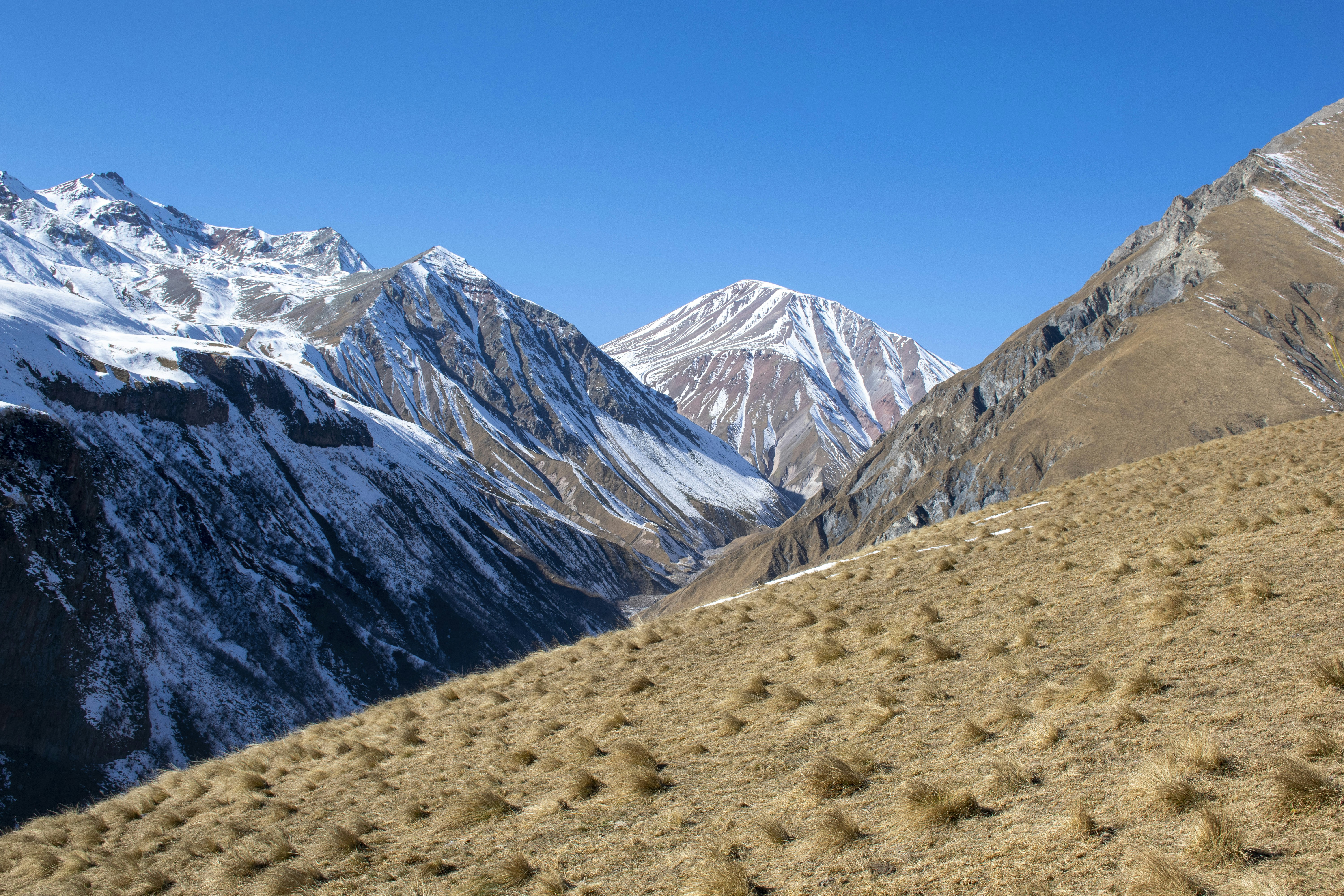 Photo by artcoastdesign