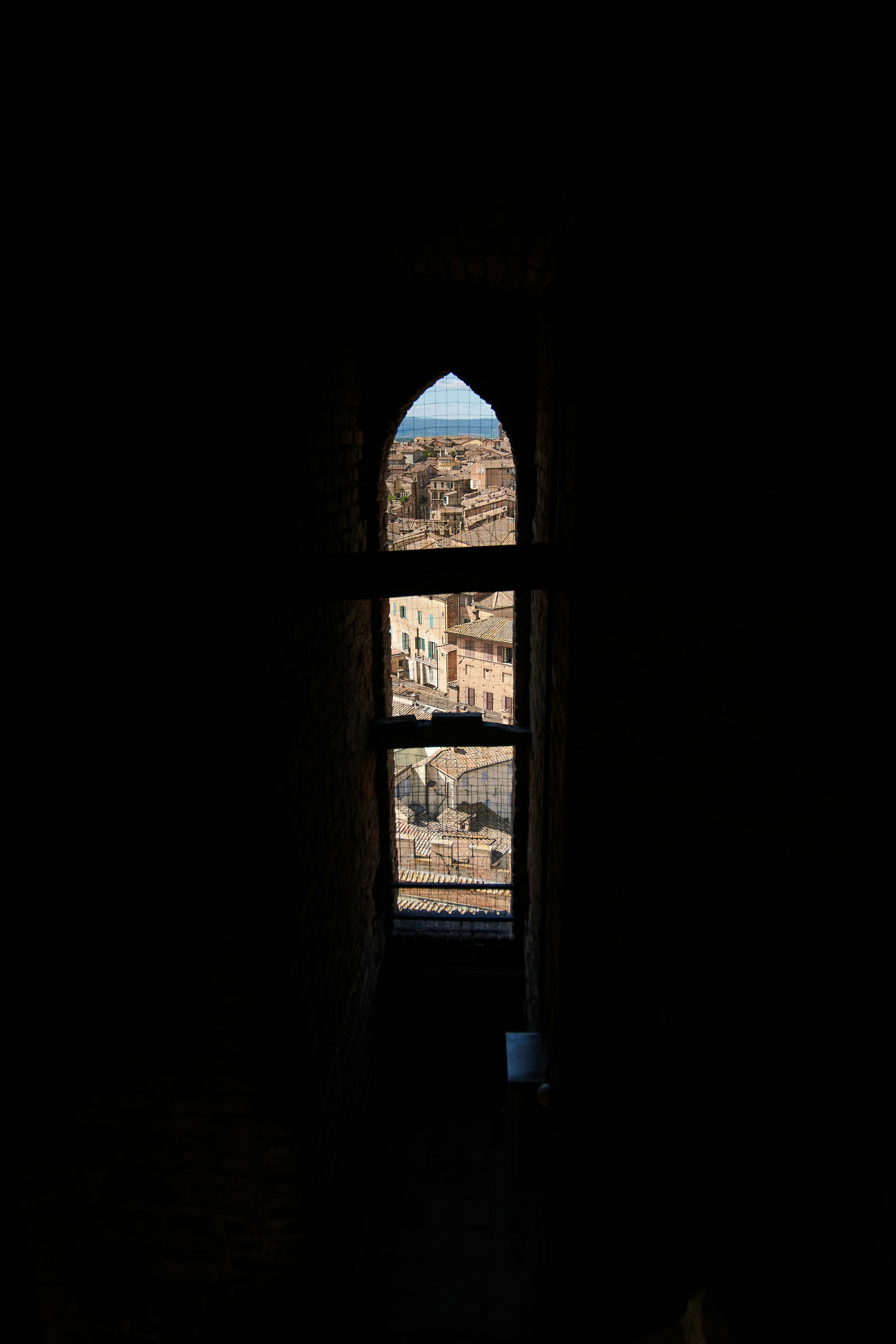 Photo by wolfgang_hasselmann