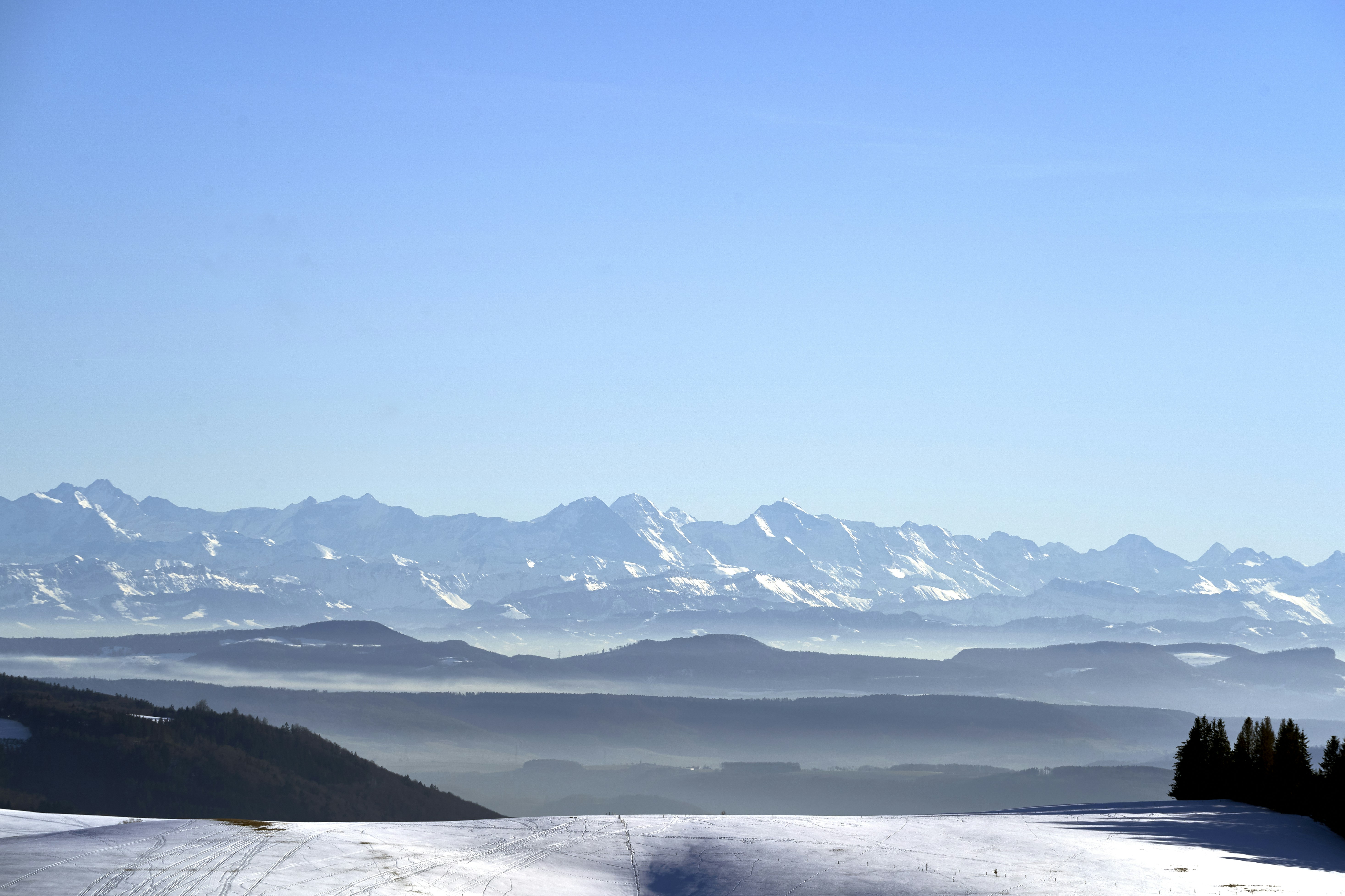 Photo by wolfgang_hasselmann