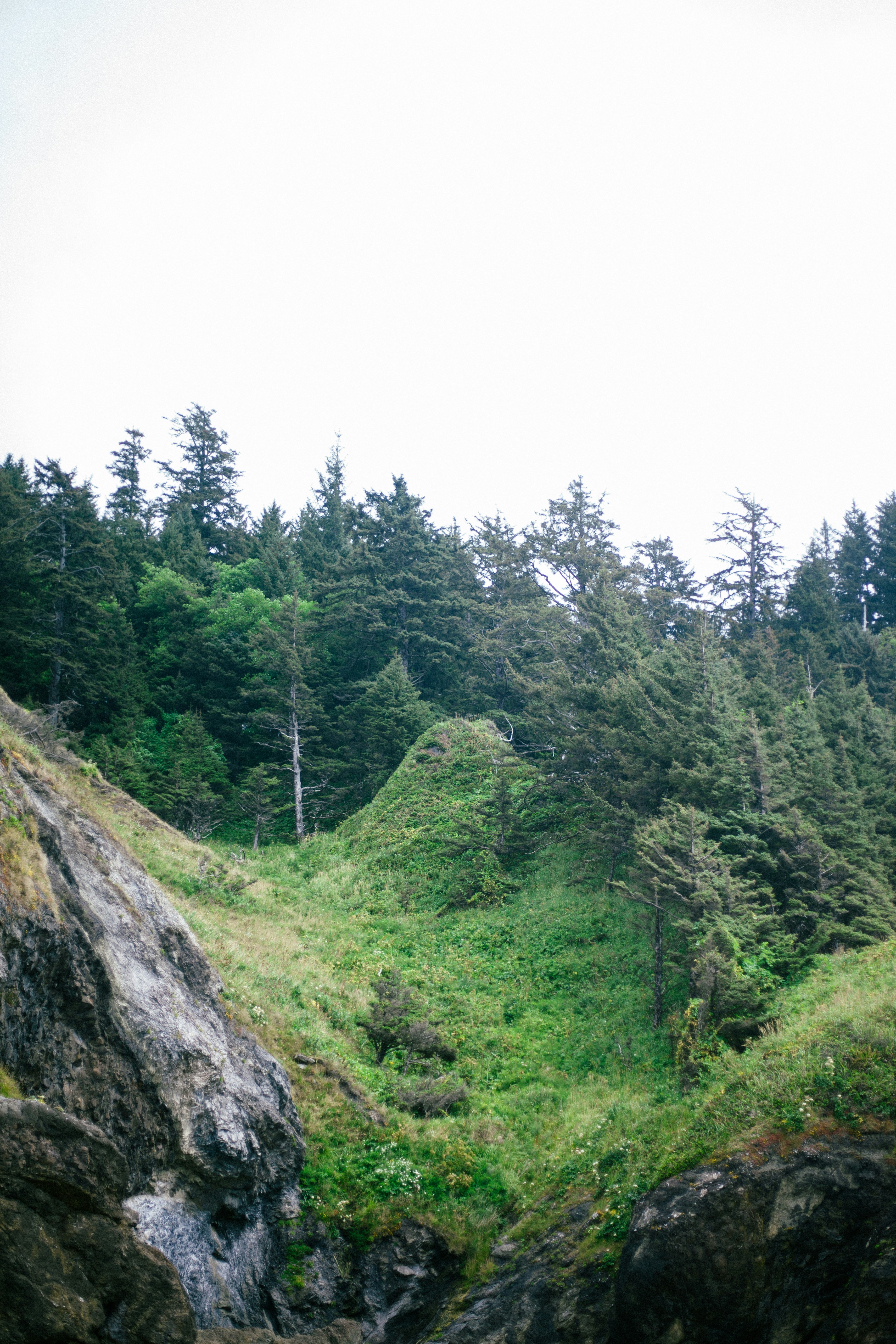 Photo by reallygoodjames