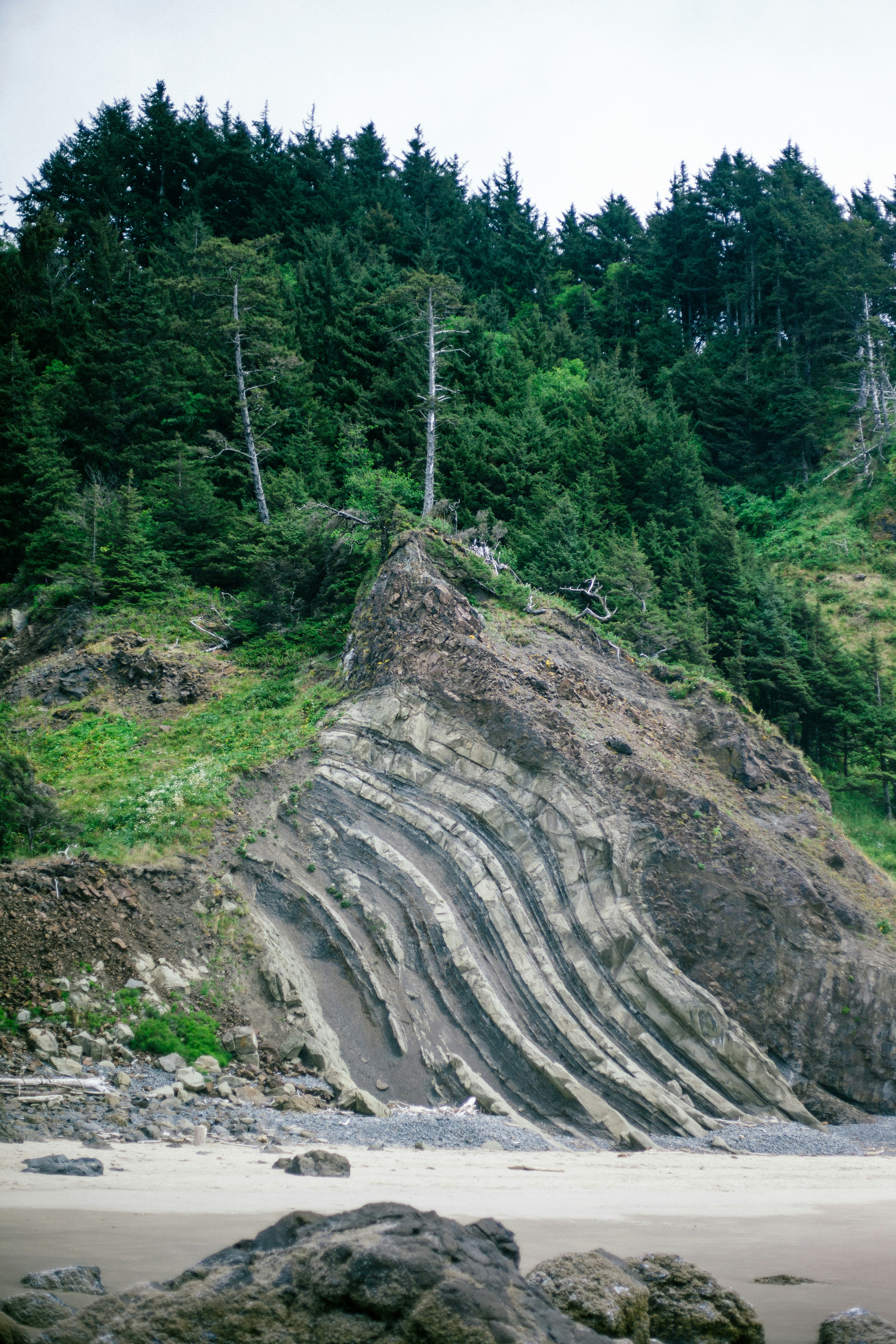 arbres verts sur les montagnes rocheuses pendant la journée