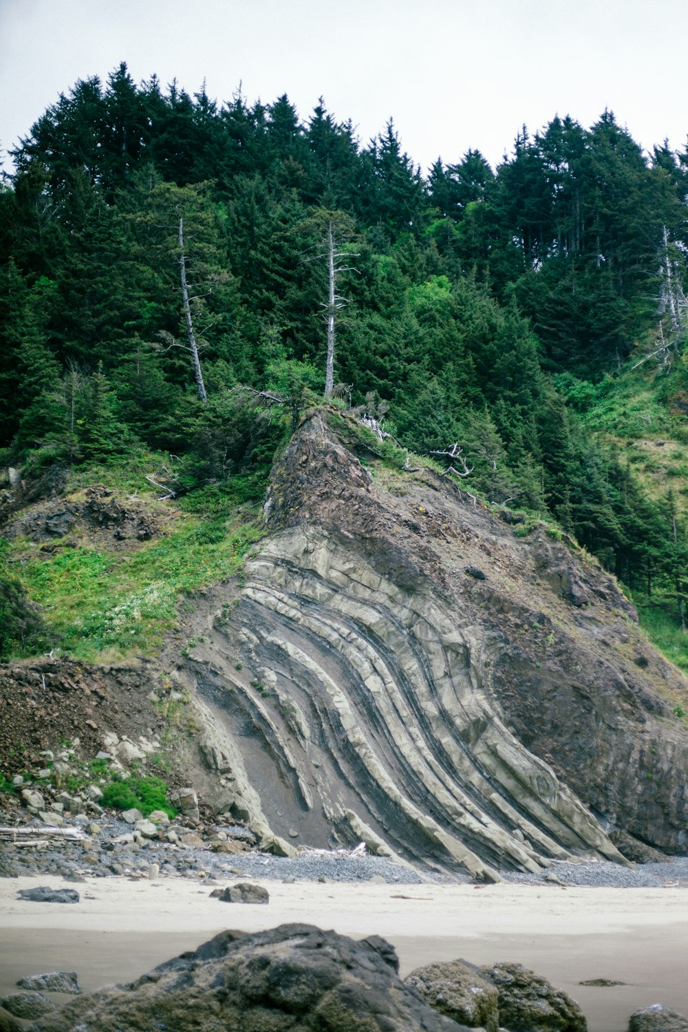 Alberi verdi sulla montagna rocciosa durante il giorno