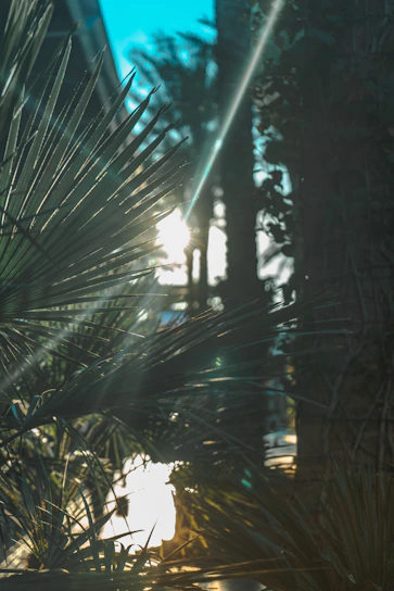 A serene tropical retreat scene with a woman meditating by golden sunlight filtering through lush palm leaves.