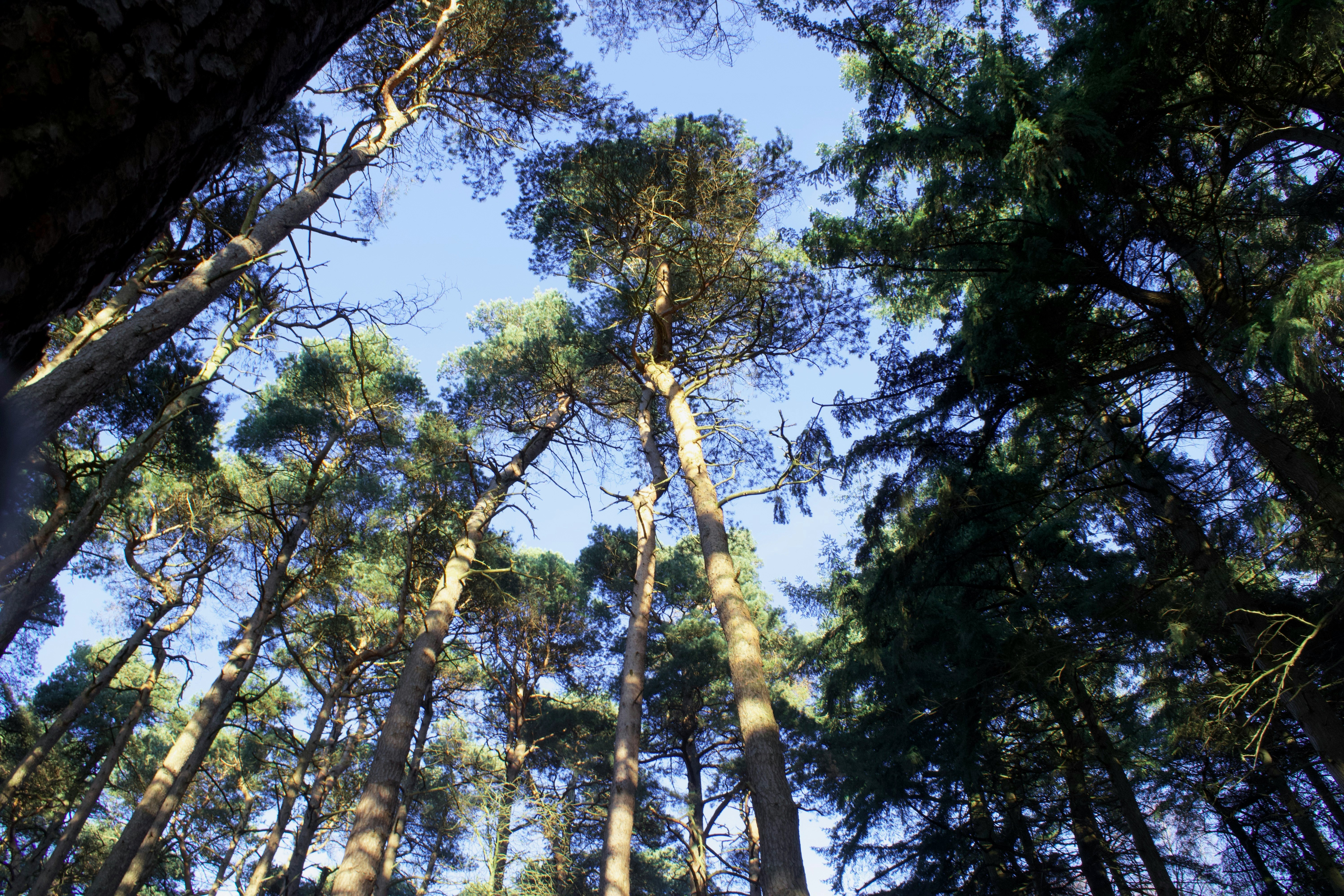 Photo by georgestephenbaker