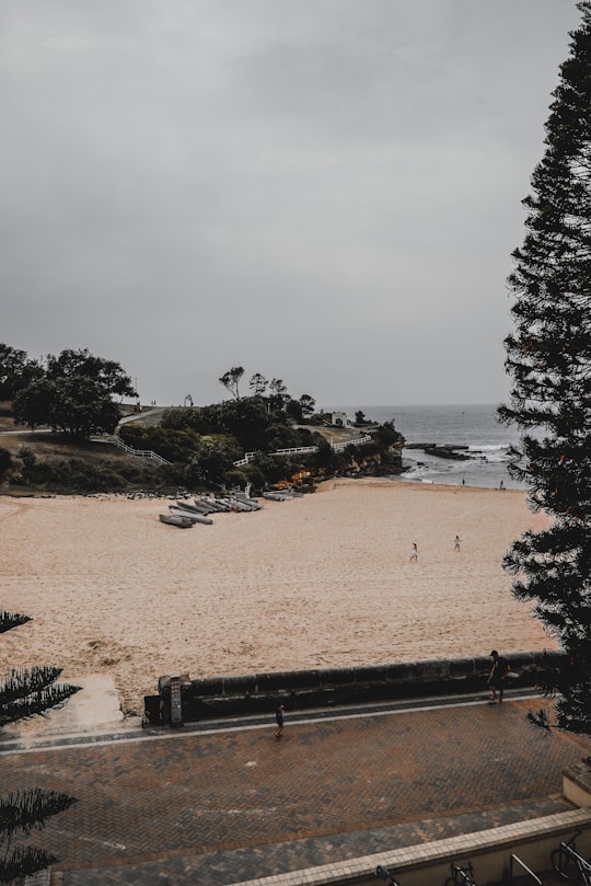 black wooden bench on brown sand near body of water during daytime in Coogee Beach Australia