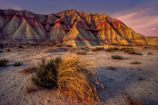 Minimalist desert landscape with warm terracotta and muted gold accents, evoking a quiet but vast horizon.