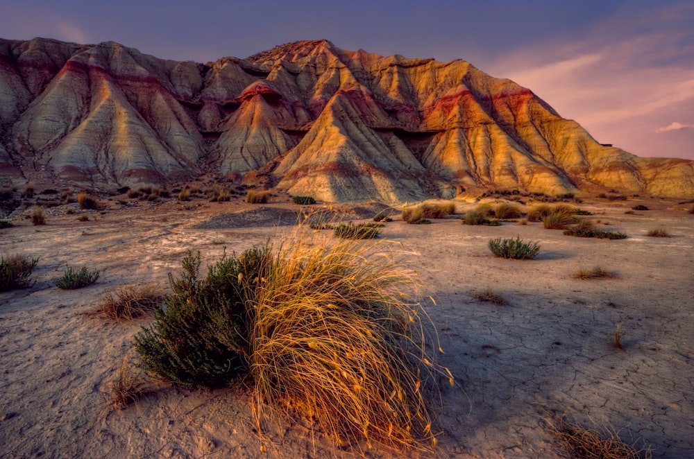 Herbe brune sur sable brun près de Brown Mountain pendant la journée