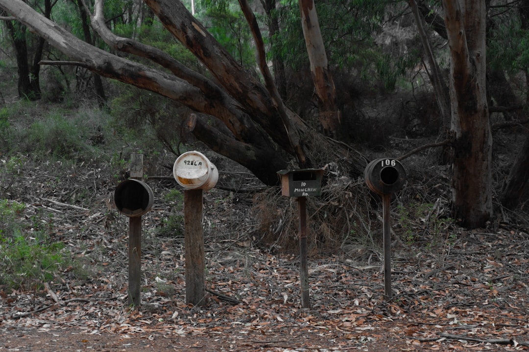 travelers stories about Forest in Albany Western Australia, Australia