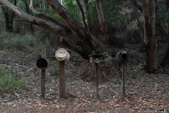 white and black bird house on brown wooden stand in Albany Western Australia Australia