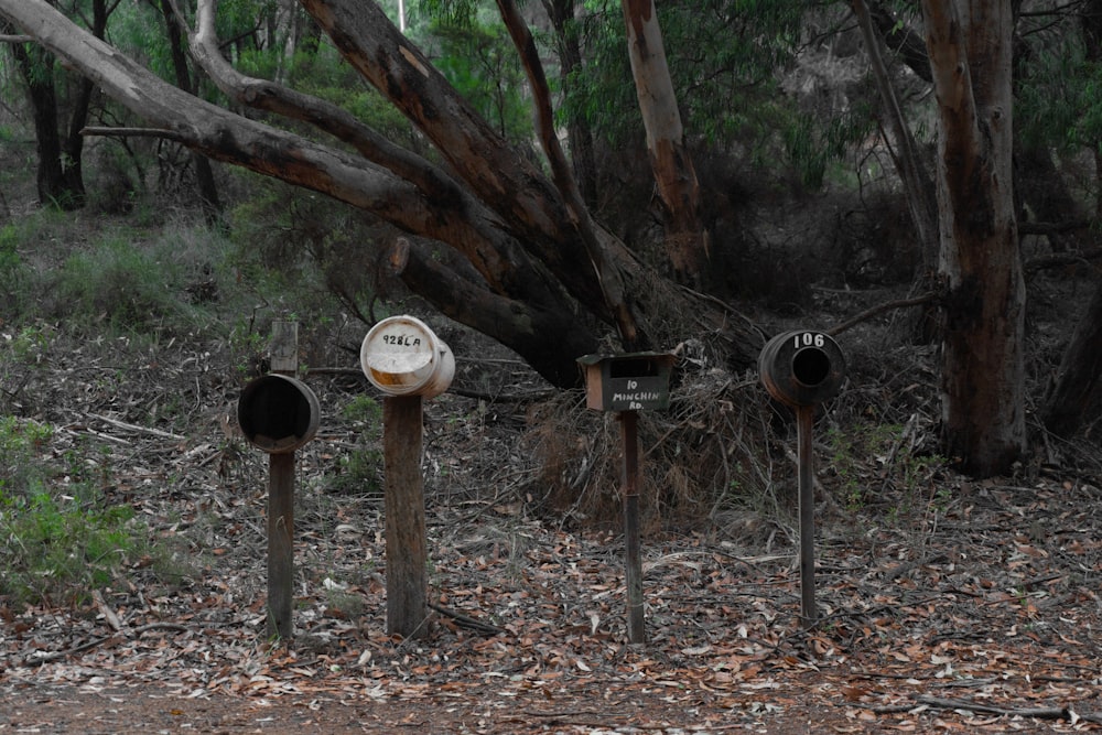 white and black bird house on brown wooden stand