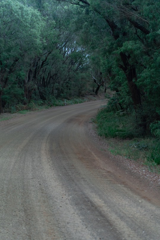 brown dirt road between green trees during daytime in Albany Western Australia Australia