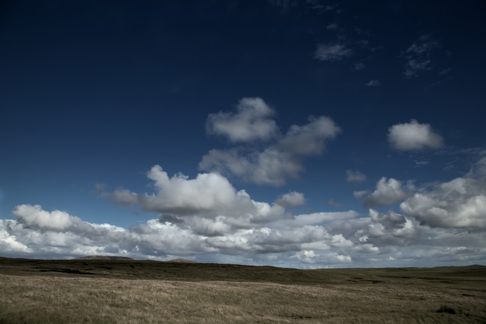 Champ d’herbe brune sous le ciel bleu et les nuages blancs pendant la journée