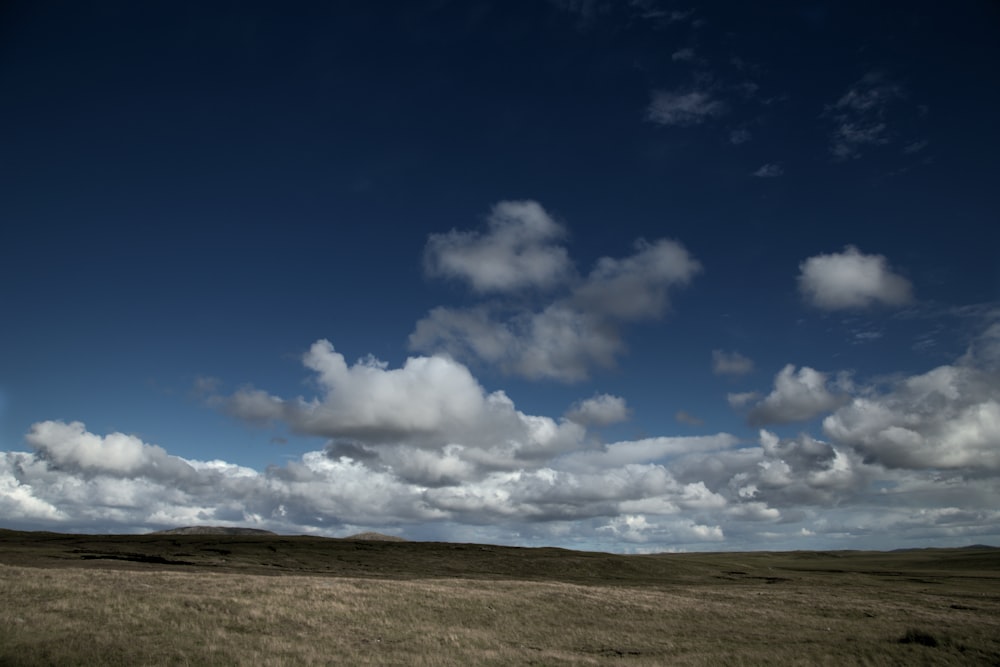 brown grass field under blue sky and white clouds during daytime