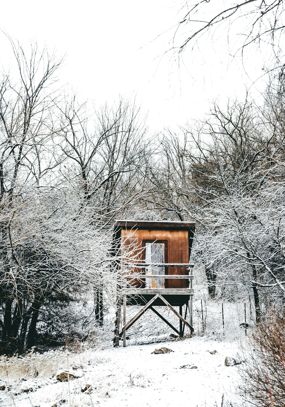 brown wooden house surrounded by bare trees during daytime