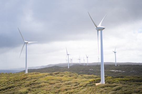 white wind turbine on green grass field under white cloudy sky during daytime in Albany Western Australia Australia