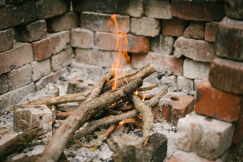 ceppi di legno marroni in fiamme