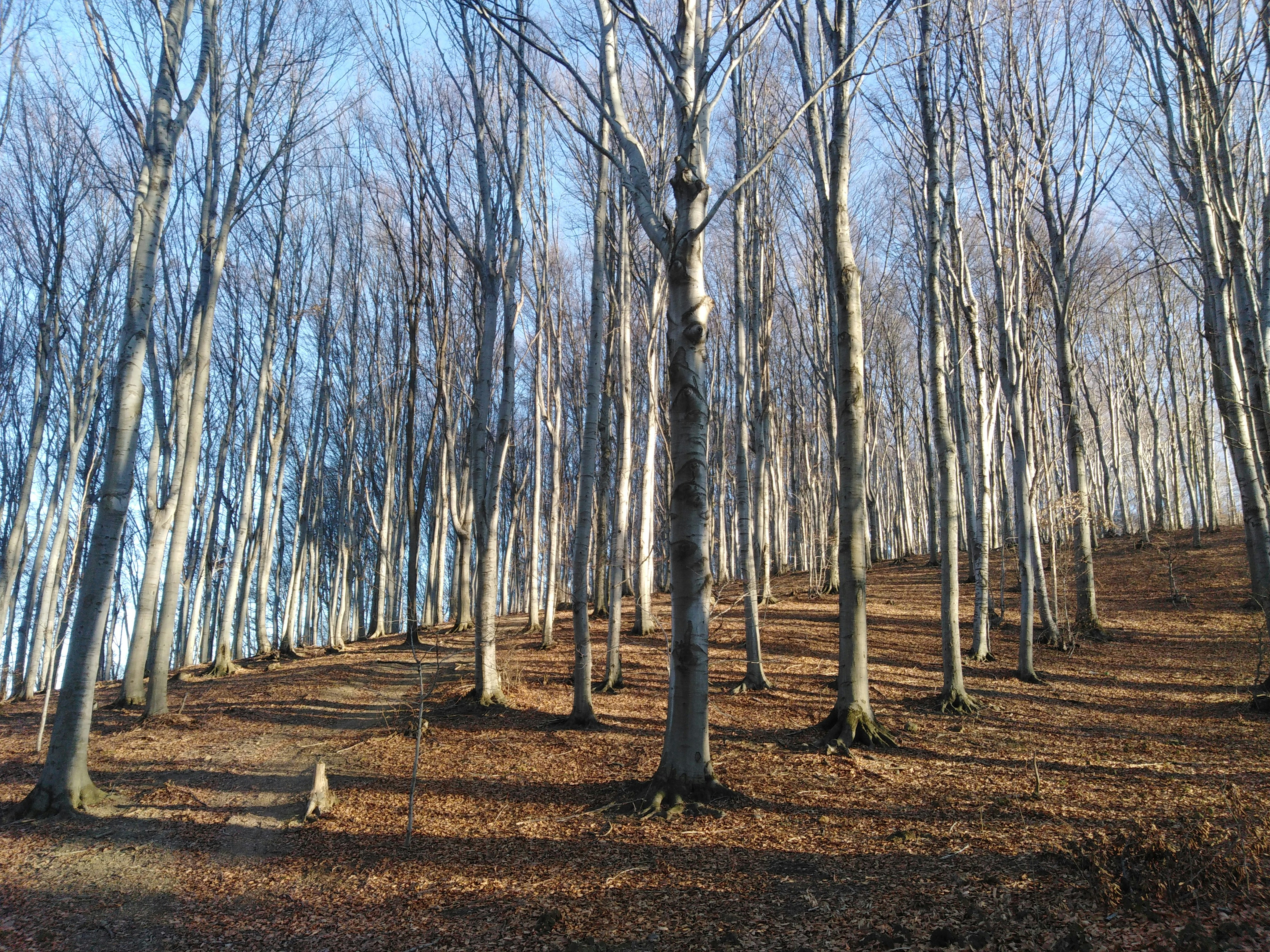 Photo by gospodinpopara