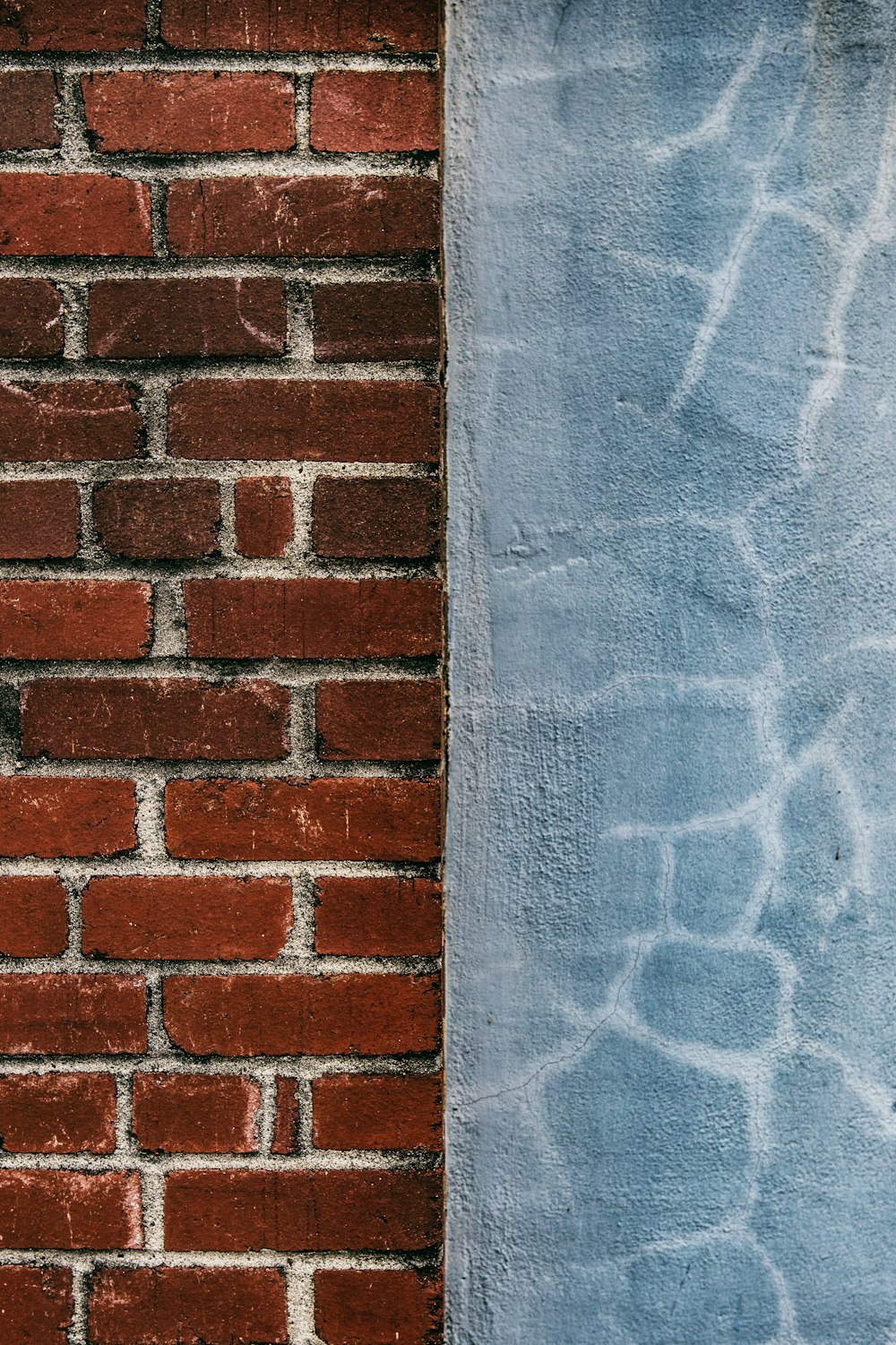 茶色のレンガの壁に青いタオル