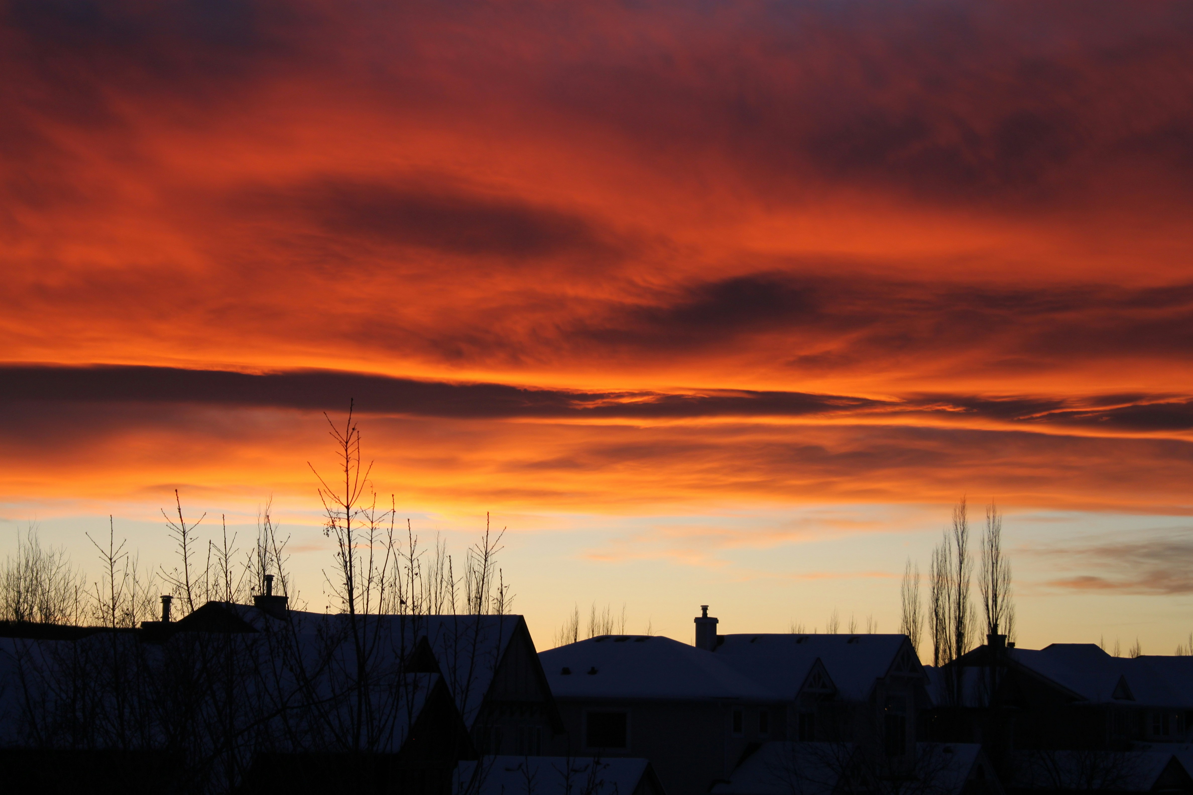 Photo by jamesyarema