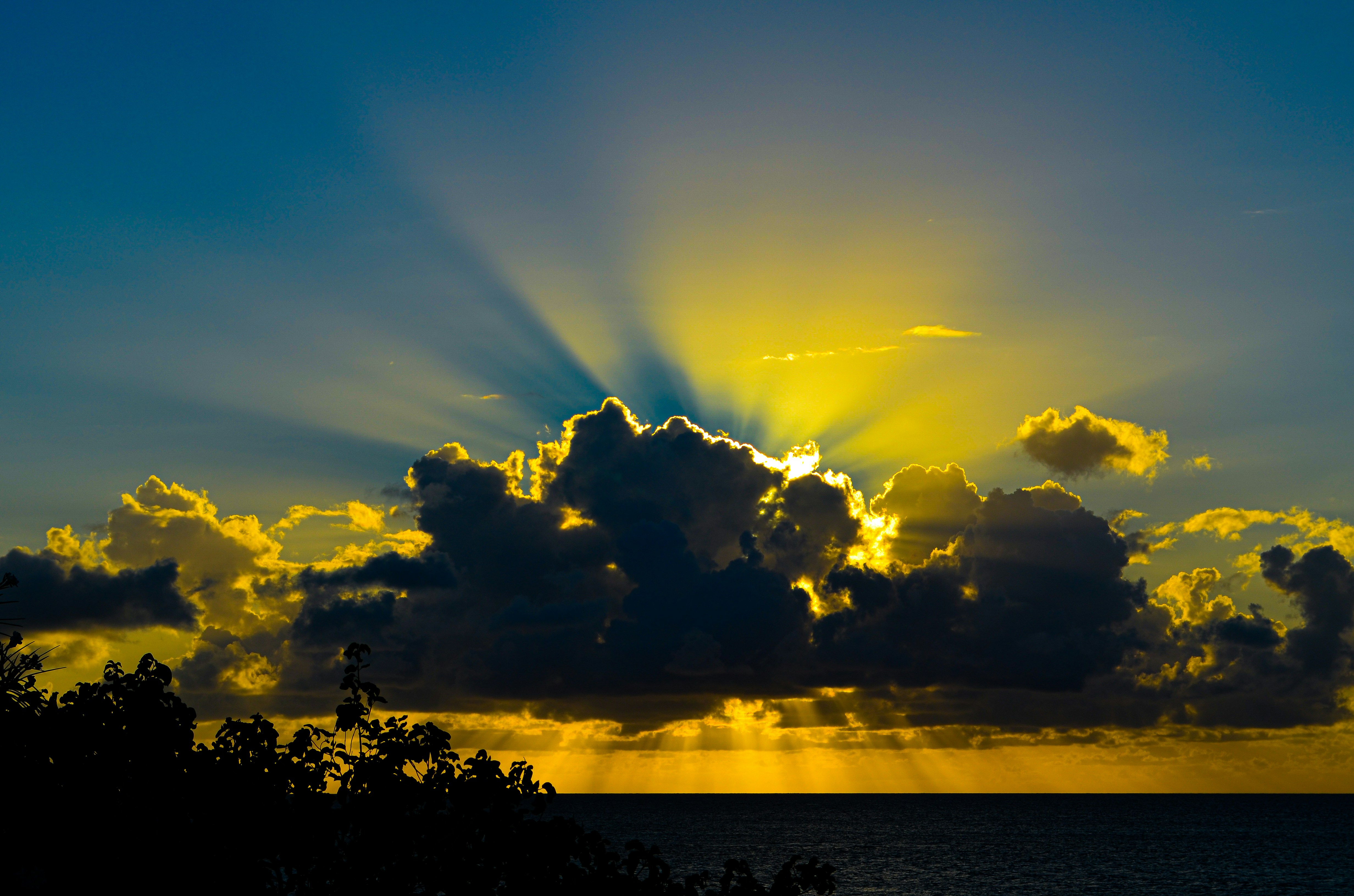 The AI Domain Boom: Anguilla's Revenue Surge