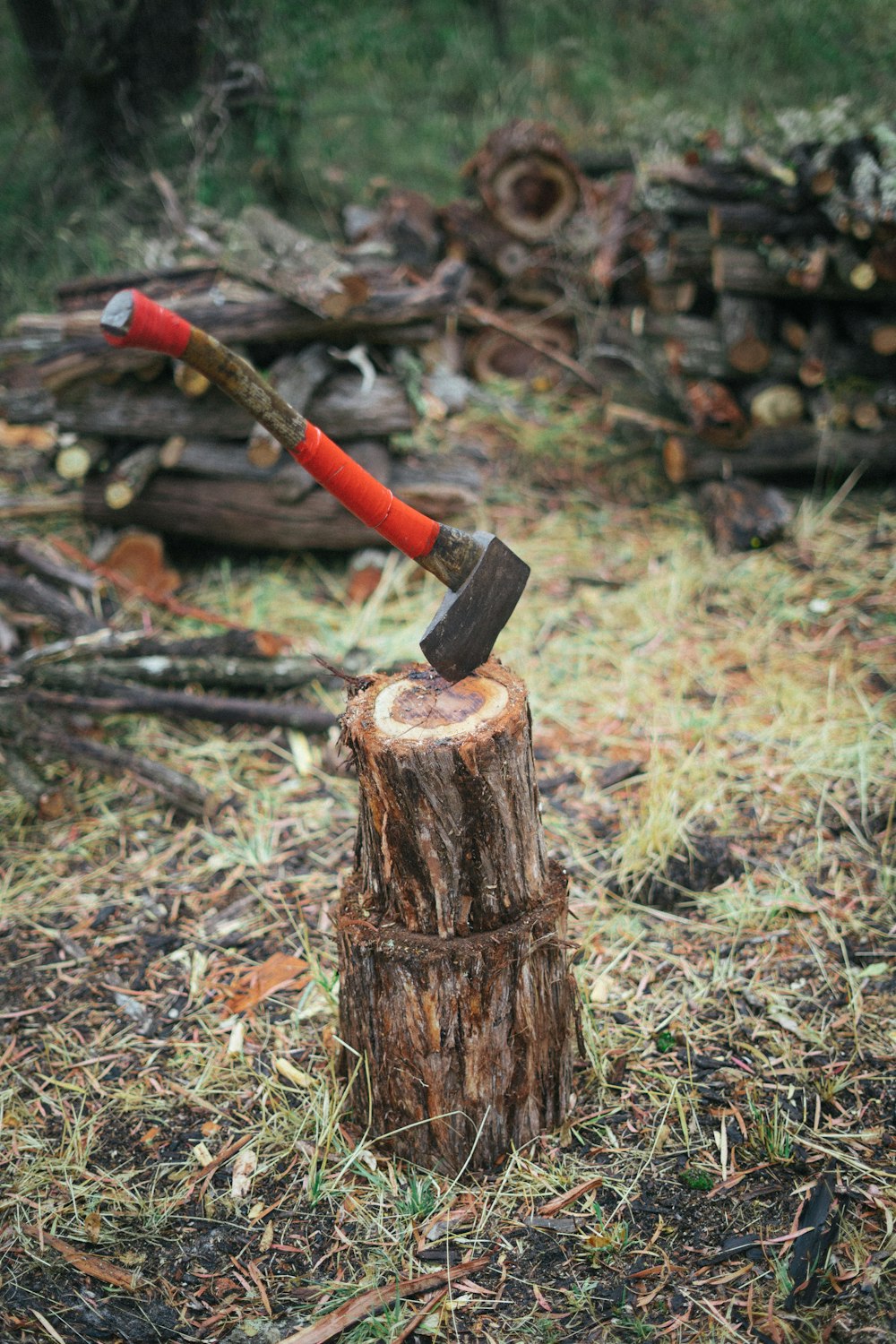 red and brown axe on brown tree log