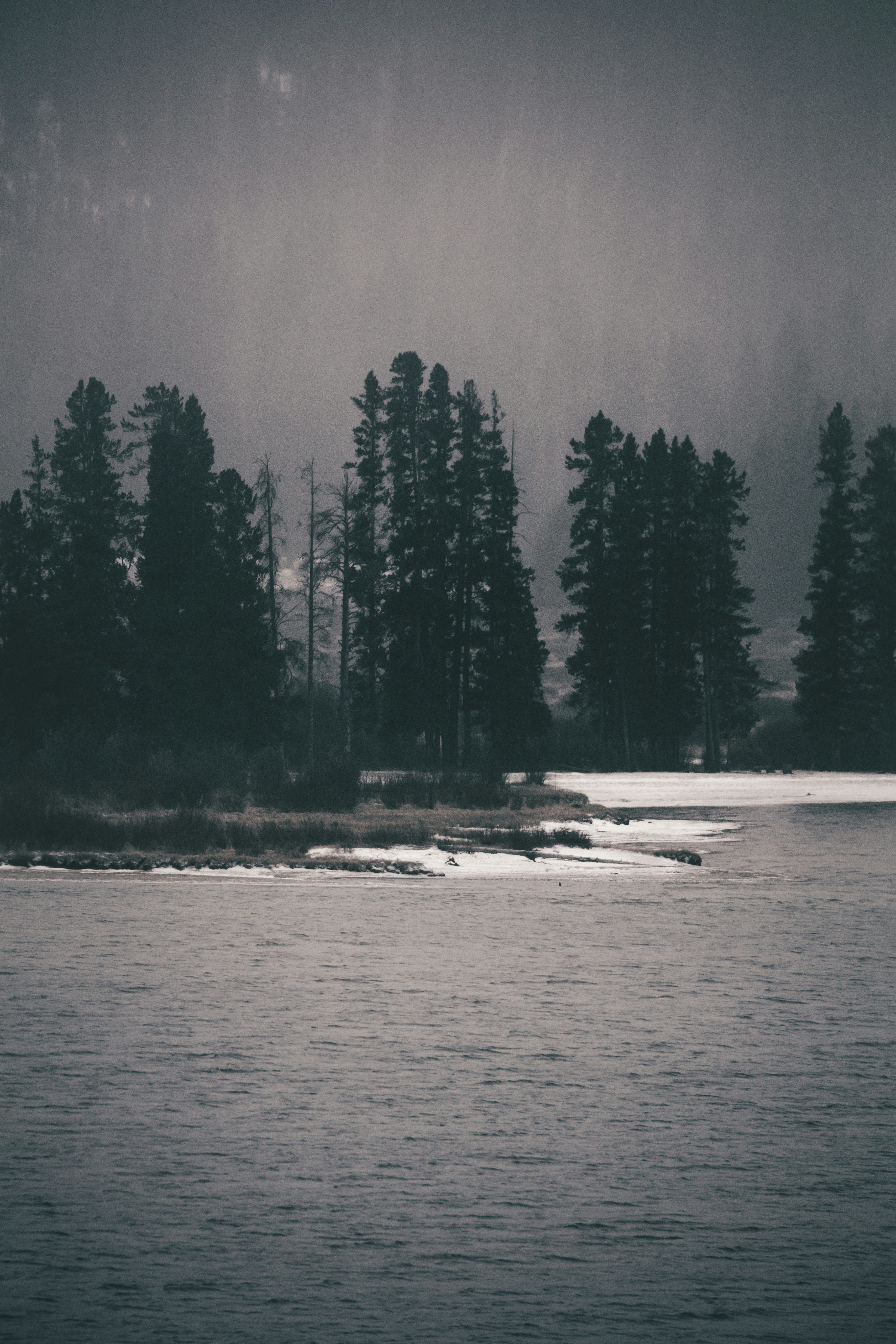 Photo by worldsbetweenlines