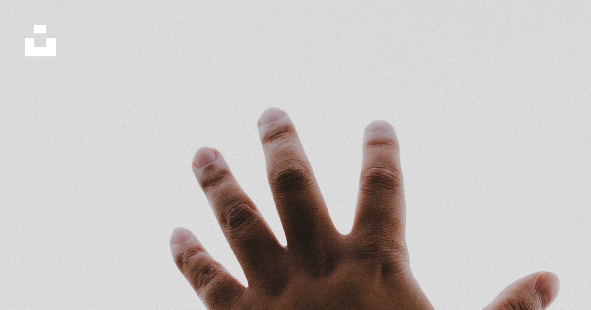 Persons left hand on white background photo – Free Arm Image on Unsplash