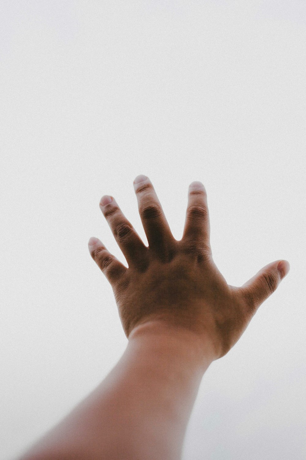 persons left hand on white background