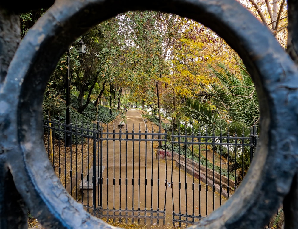 white dog in cage near green trees during daytime